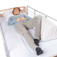Master Comfort Rugkussen