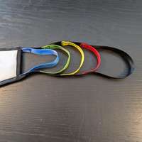 StandUp Rugsteunband